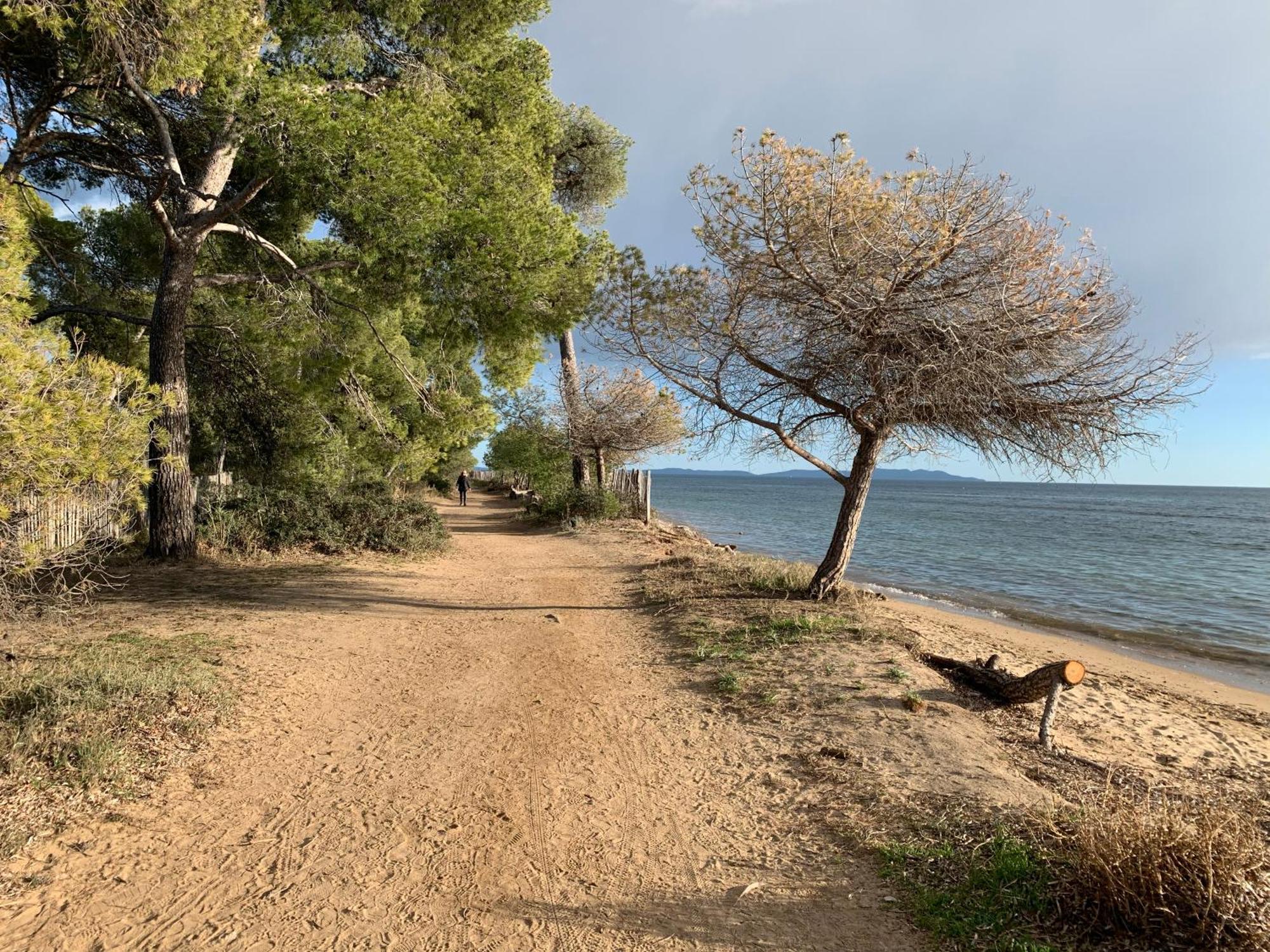 Joli Studio Tres Clair A Proximite Mer Pour 3 Personnes Ла-Лонд-ле-Мор Экстерьер фото
